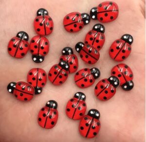 Lepatriinud 0,9x1,3 cm 30 tk