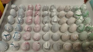 Mini vees kasvav dinosauruse muna 2 cm