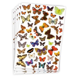 Kleebised 300 tk 6 lehte liblikad