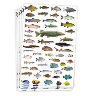 Kleebised 300 tk 6 lehte kalad