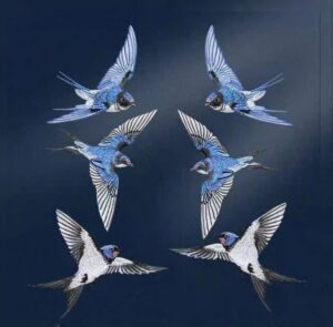 Pääskuse embleemid