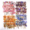 Kleebised Lilled mix ca 5,5 cm  200 tk (4 pakki)